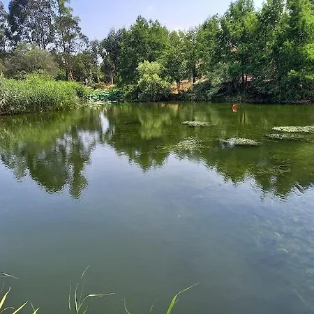 Résidence: Tranquil Oasis In Saint-tropez Gulf Apartment Grimaud